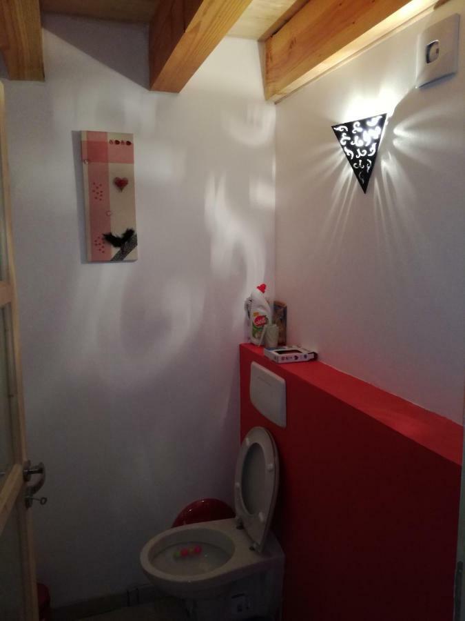 Gîte de caractère en pleine nature Bourg-de-Visa Extérieur photo